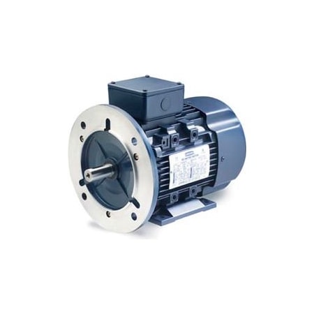 Leeson Electric